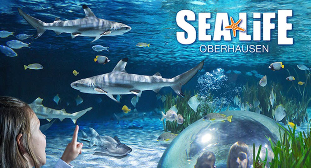 Sealife Oberhausen Reisen