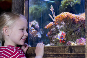 Sealife Oberhausen Kinder