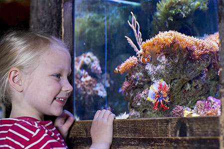 Sealife Oberhausen Kinder